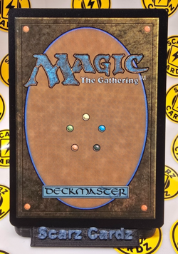 The Lion-Turtle (Borderless) Avatar: The Last Airbender - MTG RARE - Image 2