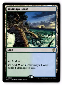 Yavimaya Coast 355 Commander: Bloomburrow NM - Image 1