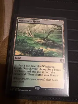 ❤‍🔥 Magic The Gathering - Windswept Heath - KTK - Near MINT 💚 - Image 1