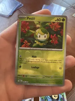 Pokemon 5 Card Pokeball & Masterball Pattern Reverse NM English Snivy Black Bolt - Image 2