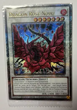 Yu-Gi-Oh - DRAGON ROSE NOIRE - MP23-FR014 Secret Mint Scellee Y - Image 5