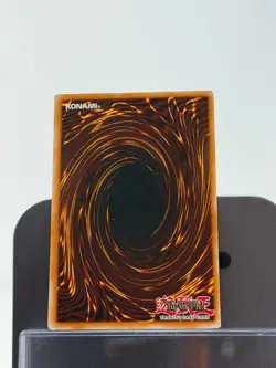 Blue-Eyes White Dragon (Blue) DL09-EN001 Duelist League Promo Unlimited - Image 2