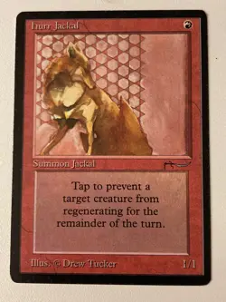 Magic the Gathering MTG Arabian Nights Hurr Jackal MP (Beta Bob) - Image 1