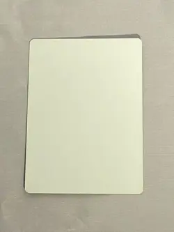 MTG Skarrgan Skybreaker Artist Proof and Signature Signed Scott - Image 2