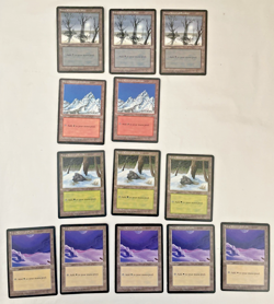 13x Snow-Covered Lands Ice Age Island Mtn Plains Swamp Forest MTG Magic HP/MP - Image 1