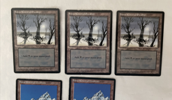 13x Snow-Covered Lands Ice Age Island Mtn Plains Swamp Forest MTG Magic HP/MP - Image 2