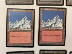 13x Snow-Covered Lands Ice Age Island Mtn Plains Swamp Forest MTG Magic HP/MP - Image 3