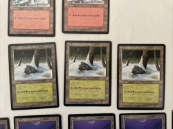 13x Snow-Covered Lands Ice Age Island Mtn Plains Swamp Forest MTG Magic HP/MP - Image 4