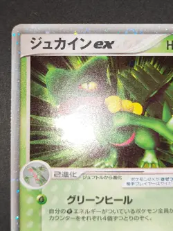 NM- Sceptile ex 006/080 EX Team Magma vs Team Aqua Japanese Pokemon card eb212 - Image 3