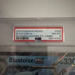 2025 POKEMON PROMO BLOOMING WATERS PREMIUM COLLECTION JUMBO BLASTOISE EX PSA 8 - Image 2