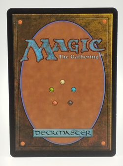 MTG Acquire 21/165 Fifth Dawn - Image 4