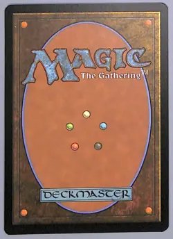 Plains - Showcase - 277 - Dominaria United (DMU) MTG - Image 4
