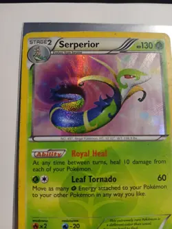 Serperior 125/124 Dragons Exalted Secret Rare Pokemon TCG Card USA English - Image 5