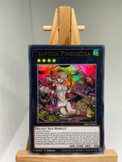 Traptrix Pinguicula - Ultra Rare 1st Edition SDBT-EN042 - NM - YuGiOh - Image 1