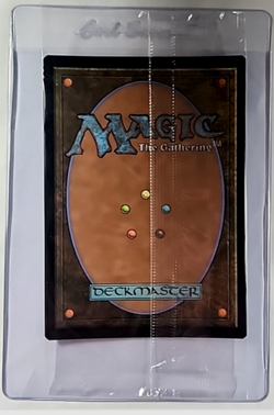 2020 MTG Magic the Gathering SLD Secret Lair Foil Sealed #559 Swamp Land WOTC - Image 2