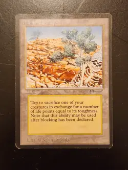 Diamond Valley Magic: The Gathering MTG x1 Arabian Nights Moderately Played - Image 1