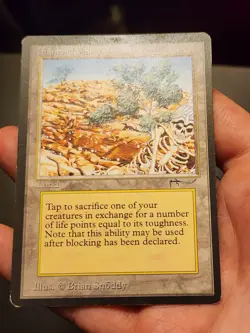 Diamond Valley Magic: The Gathering MTG x1 Arabian Nights Moderately Played - Image 3