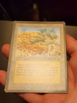 Diamond Valley Magic: The Gathering MTG x1 Arabian Nights Moderately Played - Image 4