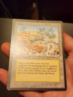 Diamond Valley Magic: The Gathering MTG x1 Arabian Nights Moderately Played - Image 5