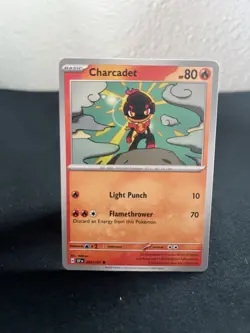 Cute Charcadet Pokemon Card Lot (6x) - Fire-Type Bundle - NM - Image 5