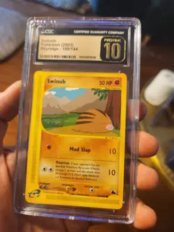 (POP 3) CGC 10 PRISTINE Pokemon 2003 Swinub 108/144 Skyridge Card - Image 2