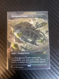 Overgrown Tomb (Borderless) Unfinity Regular - Image 1