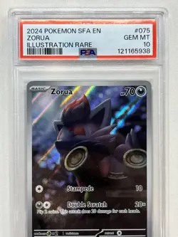 PSA 10 Zorua #075/064 Illustration Rare - Shrouded Fable Pokemon TCG Card - Image 2