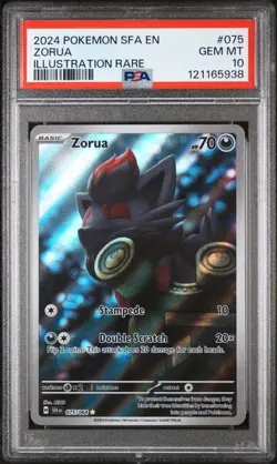 PSA 10 Zorua #075/064 Illustration Rare - Shrouded Fable Pokemon TCG Card - Image 4