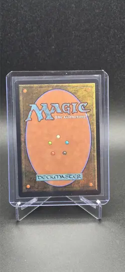 Magic The Gathering - Wan Shi Tong, Librarian #78 Non-Foil - Image 2