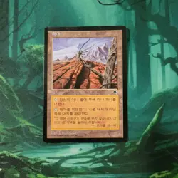MTG Tempest - Wasteland (Korean) - Rare - LP - Image 1