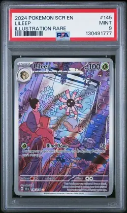 Lileep - 145/142 SV Stellar Crown Illustration Rare PSA 9 MINT - POKEMON TCG - Image 1