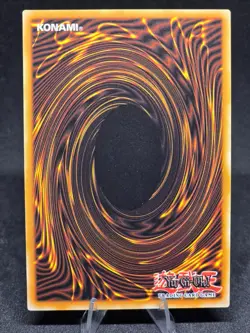 Yu-Gi-Oh! Radiant Typhoon Eldam DOOD-EN013 Doom of Dimensions 1st Edition (SR)NM - Image 2
