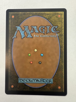 Infantry Shield (Extended Art) Commander: Tarkir: Dragonstorm Regular - Image 3