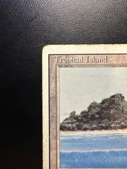 Tropical Island Revised Edition Regular - Image 2