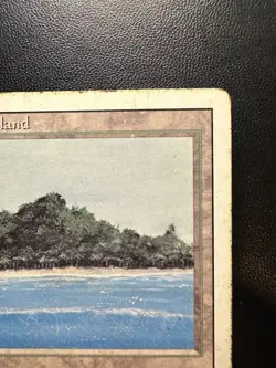 Tropical Island Revised Edition Regular - Image 3