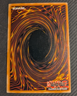 Yugioh Paladin of White Dragon MFC-026 1st Edition Ultra Rare! - Image 2