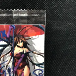 Nyx Queen's Blade QC12 Wafer Card 2009 MegaHouse Japanese Japan F/S - Image 4