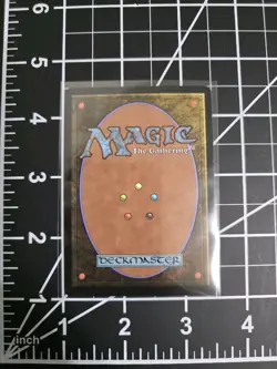 Plains 0287 TLA Borderless Foil MTG Avatar: The Last Airbender NM/M - Image 2
