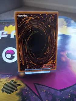 Yu-Gi-Oh Dark Paladin DMG-001 Secret Rare Limited Edition Unlimited Near Mint - Image 3