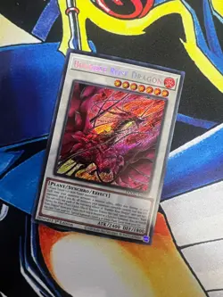 Bramble Rose Dragon - DOOD-EN039 - 1st Edition - Secret Rare - NM - Yugioh - Image 1