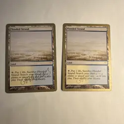 2x MTG Gabriel Nassif Worlds Flooded Strand Gold Border WS1 - Image 1