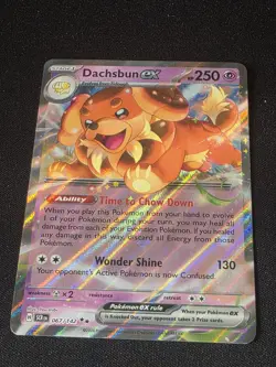 Dachbun EX 067/142 Pokemon Stellar Crown Holo Ultra Rare NM - Image 2
