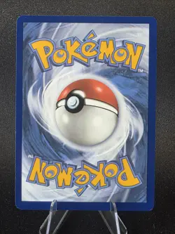 Dachbun EX 067/142 Pokemon Stellar Crown Holo Ultra Rare NM - Image 3