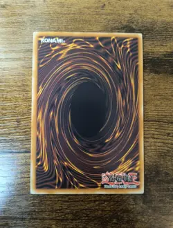 Rage Rose Witch DOOD-EN040 Ultra Rare 1st Edition Doom Of Dimensions Yugioh NM - Image 2