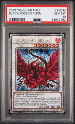 Black Rose Dragon PSA 10 - TN23-EN014 - Quarter Century Secret Rare - Yugioh - Image 1