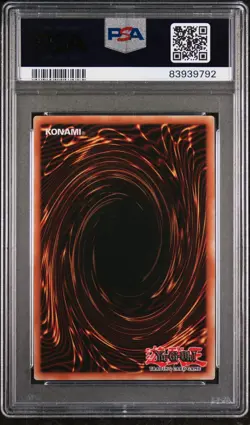 Black Rose Dragon PSA 10 - TN23-EN014 - Quarter Century Secret Rare - Yugioh - Image 2