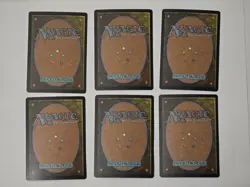 6 (FOIL) Full Art Basic Lands MTG Assorted Card Lot - Image 2