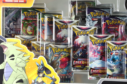 Pokemon TCG Lucario V & Tyranitar V Heavy Hitters Premium Collection NEW B3 - Image 2
