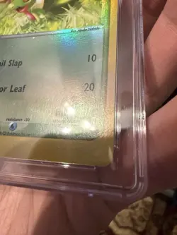 CGC 10 Treecko Reverse Holo #003 Black Star Promo Pokemon League 2003 *scuffs* - Image 5