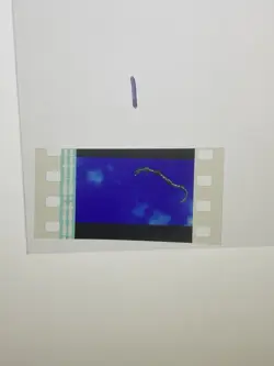 Pokemon Destiny Deoxys Movie Authentic 35mm Film Cell Rayquaza - Image 1